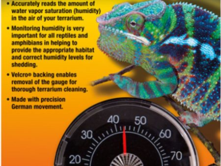 Zoo Med Laboratories Inc-Precision Analog Reptile Humidity Gauge Sale