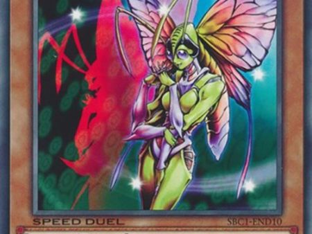 Insect Princess [SBC1-END10] Common For Discount