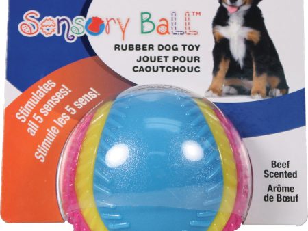 Ethical Dog - Sensory Ball Rubber Dog Toy Online